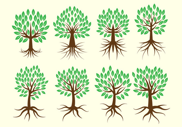 632x443 Free Tree With Roots Vector Collection Free Vector Download