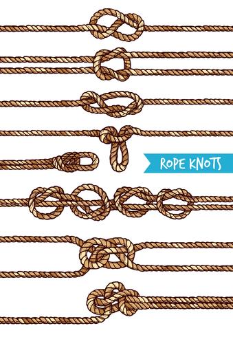 Rope Knots Set 339x490 Rope Knots Set