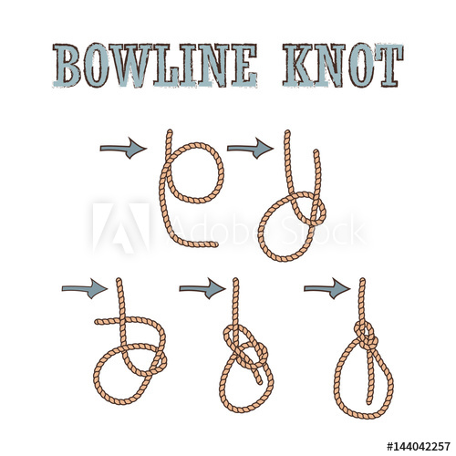 Bowline Knote Manual How To Tie Rope Knot, Vector Illustration 500x500 Bowline Knote Manual How To Tie Rope Knot, Vector Illustration