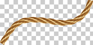 Rope Vector