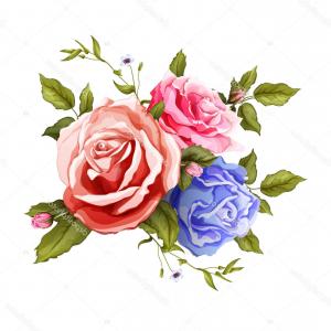 Png Garden Roses Rosa Xd Alba Euclidean Vector Flower Soidergi 300x300 Png Garden Roses Rosa Xd Alba Euclidean Vector Flower Soidergi