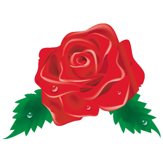 Red Rose Clip Art Image Free Vector 660x660 Red Rose Clip Art Image Free Vector