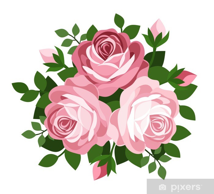 Three Pink Roses Vector Illustration Wall Mural 700x635 Three Pink Roses Vector Illustration Wall Mural