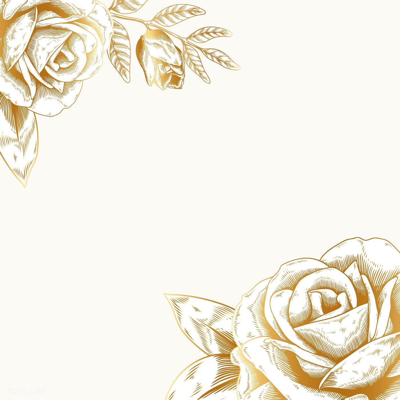 1400x1400 Hand Drawn Rose Framed Background Vector Free Image