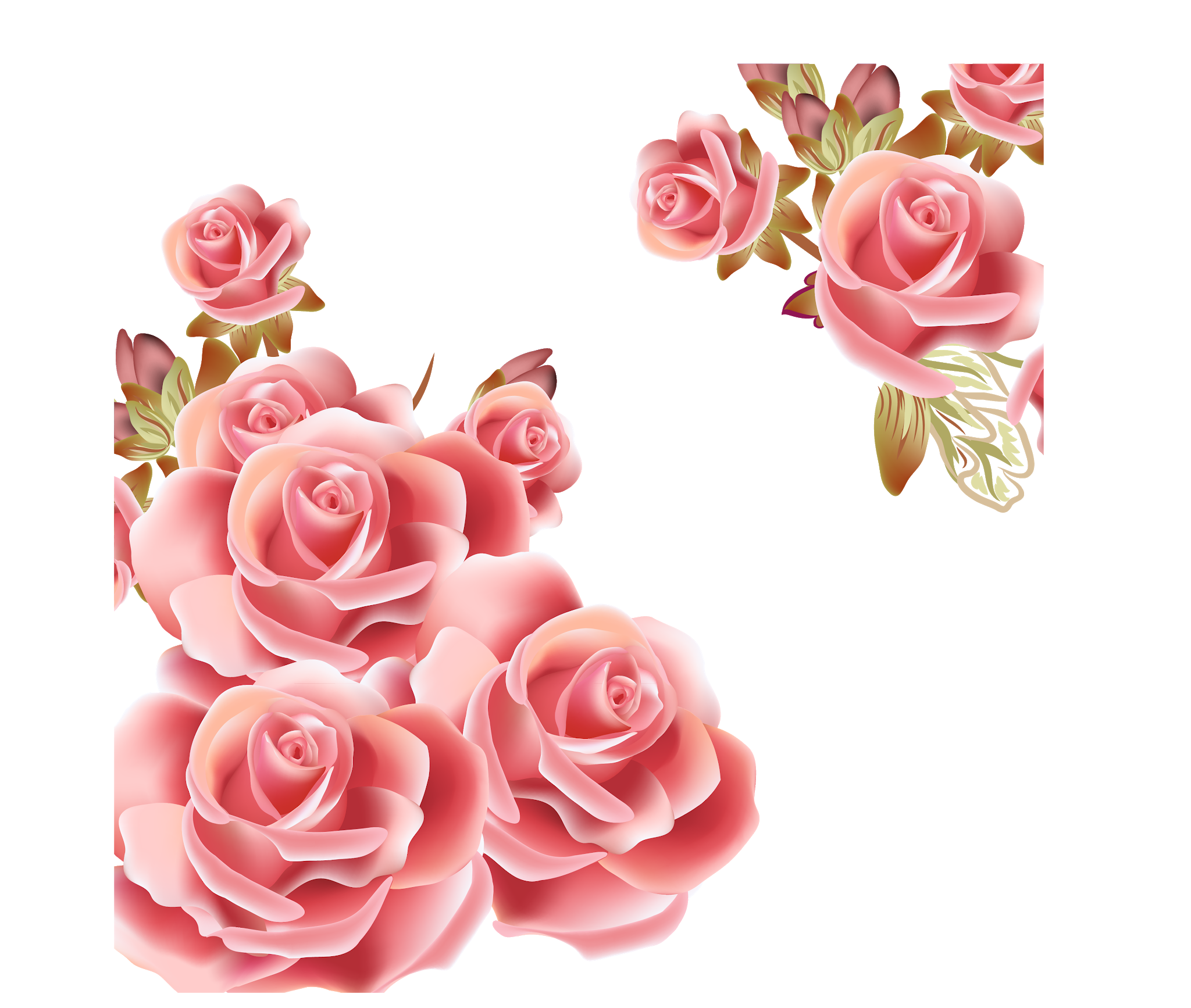 Rose Background Vector at Collection of Rose Background Vector free for