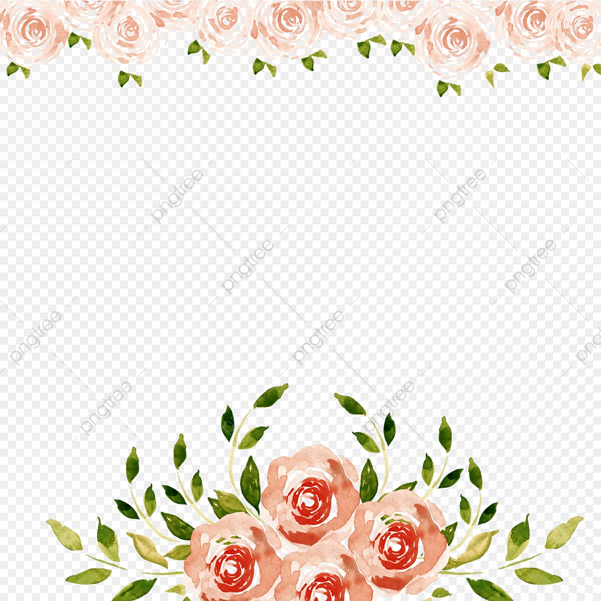 1200x1200 Pink Roses Background, Png, Pink Flowers, Leaves Png And Vector