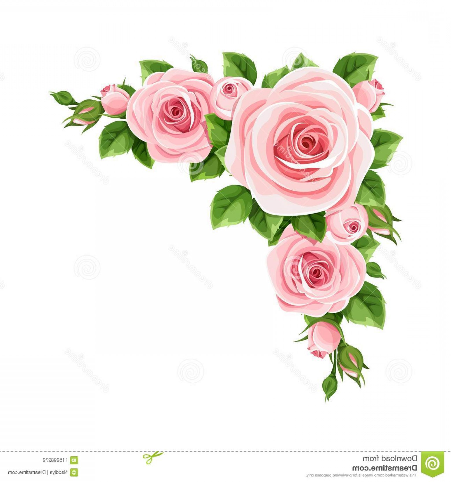 1560x1668 Pink Roses Vector Corner Background Vector Corner Background Pink
