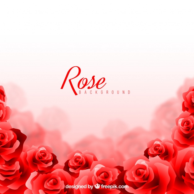 626x626 Rose Background With Blurred Effect Vector Free Download
