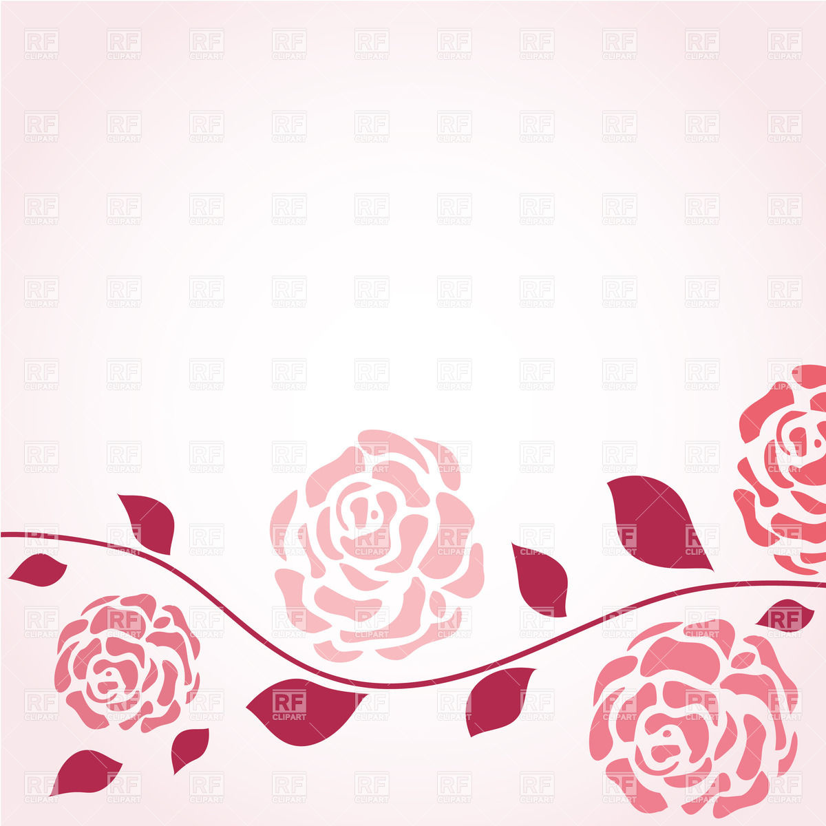 1200x1200 Branch With Rose Flowers On The Pink Background Vector Image