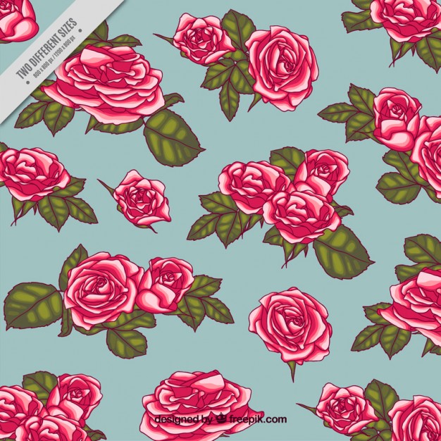 626x626 Vectors Of Roses Free Vector Graphics Everypixel