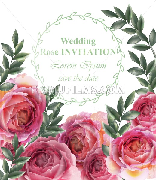 519x600 Wedding Invitation Vintage Roses Background Vector Floral Card