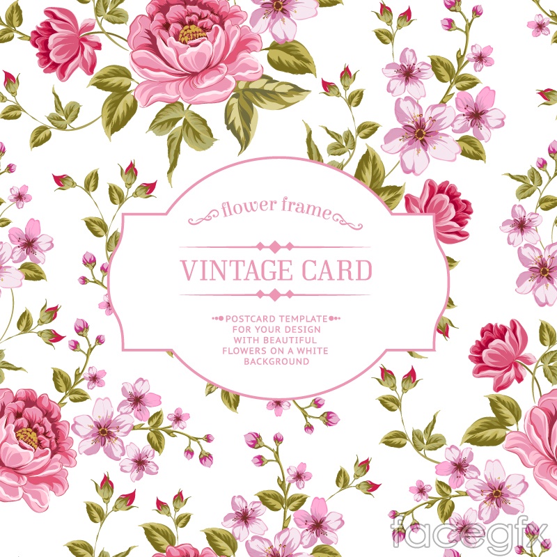 800x800 Elegant Rose Apricot Flower Background Vector Over Millions