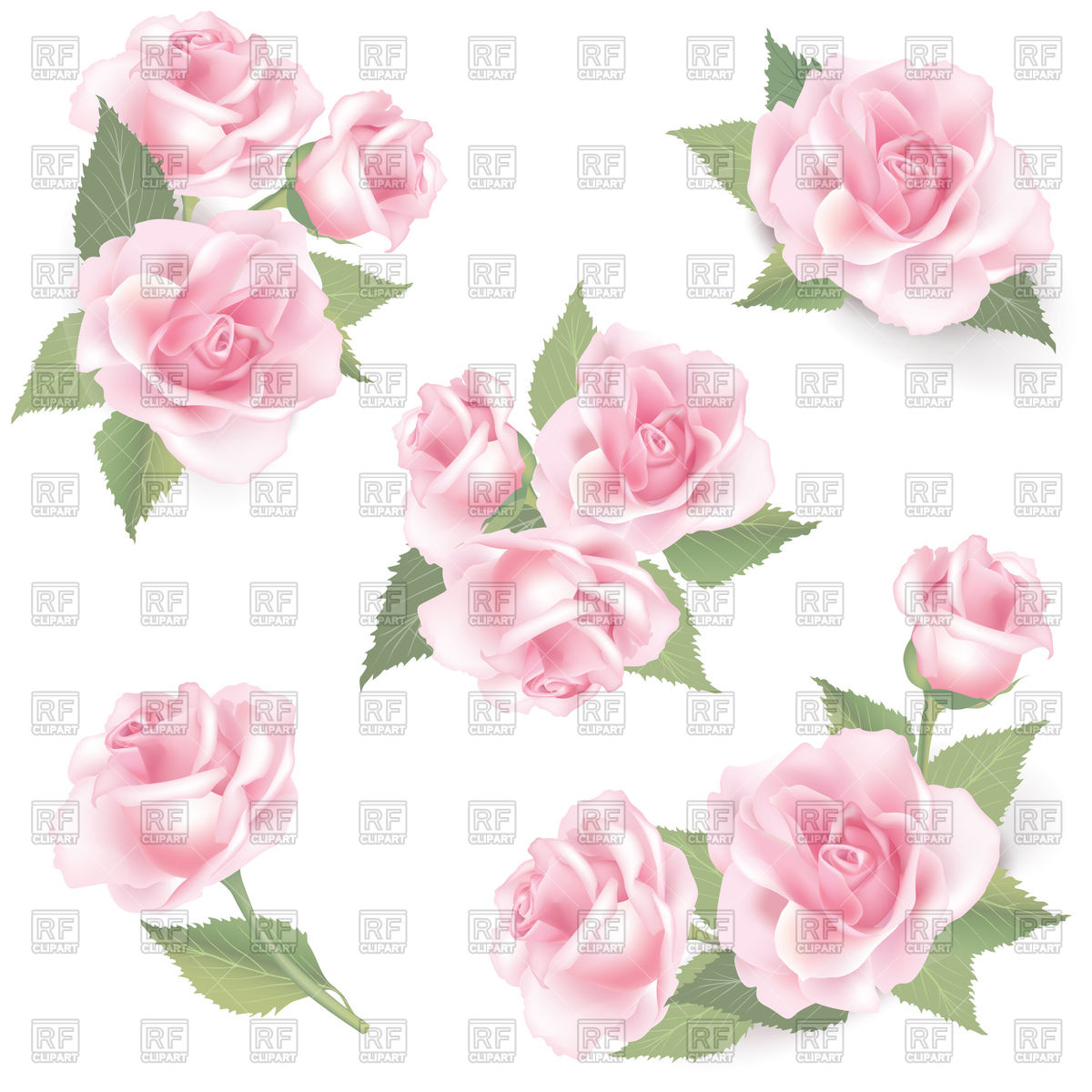 1200x1200 Floral Rose Background Vector Image Of Backgrounds, Textures