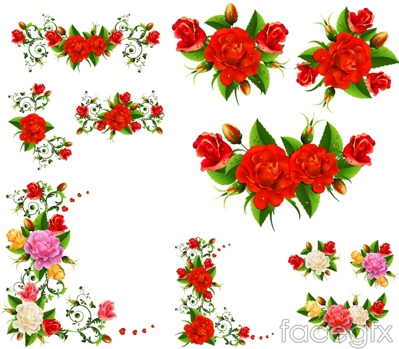 Exquisite Rose Border Vector Over Millions Vectors, Stock Photos 800x700 Exquisite Rose Border Vector Over Millions Vectors, Stock Photos
