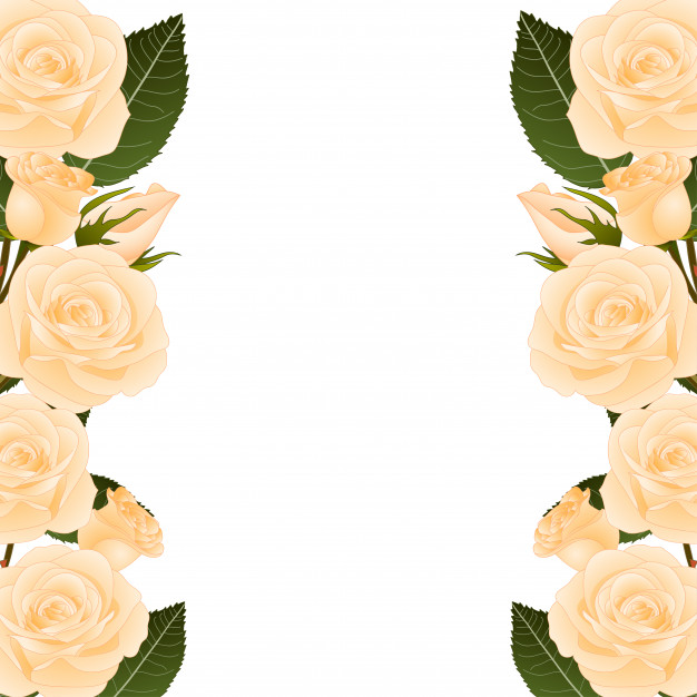 Orange Rose Border Vector Premium Download 626x626 Orange Rose Border Vector Premium Download