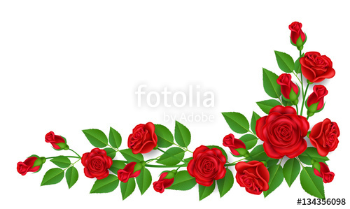 Realistic Red Rose Illustration With Green Leaf, For Corner 500x299 Realistic Red Rose Illustration With Green Leaf, For Corner