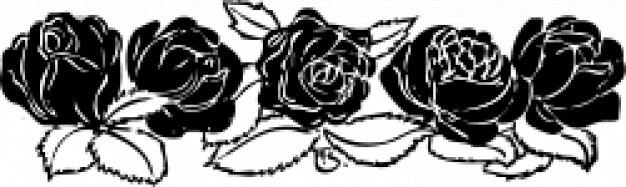 Rose Border Vector Free Download 626x187 Rose Border Vector Free Download