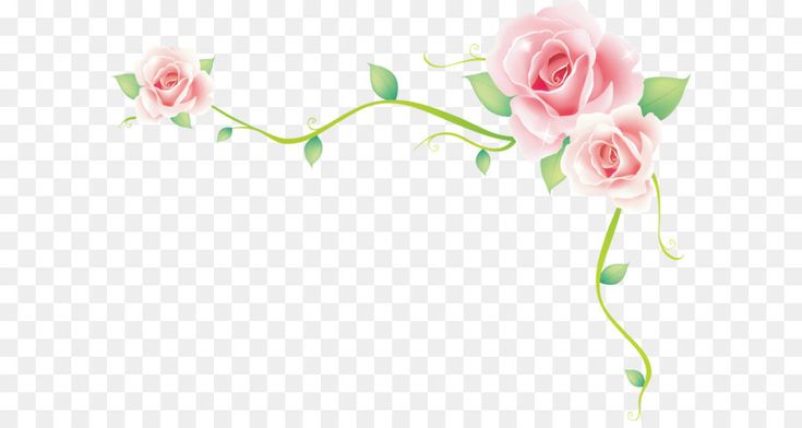 Vector Rose Rose Border Vector Rose Sea Best Vector Download 735x392 Vector Rose Rose Border Vector Rose Sea Best Vector Download