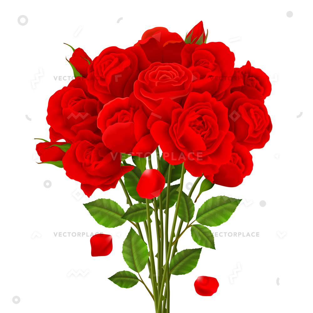 1000x1000 Rose Bouquet Red Flowers Green Leaves Vector Illustration
