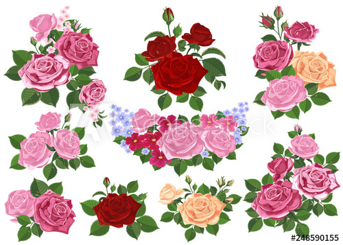 500x357 Rose Bouquet Vector Flower Set Vintage Floral Background