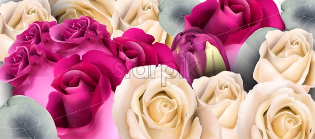 623x276 Roses Bouquet Vector Watercolor Mother Day Background Beautiful