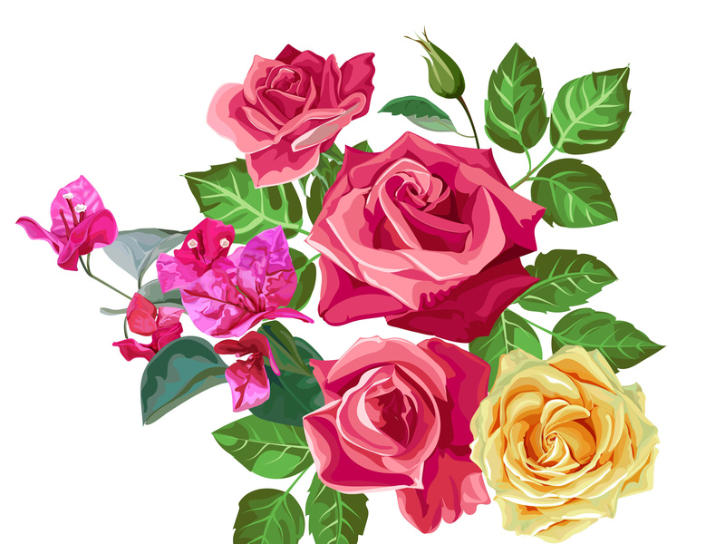 800x600 Flower Bouquet Vector Illustration