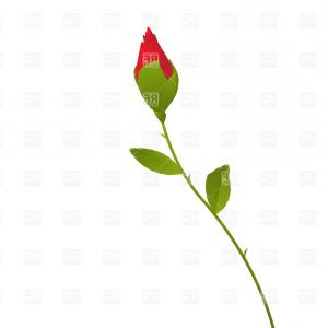 300x300 Red Rose Bud Vector Clipart Hoodamathrun