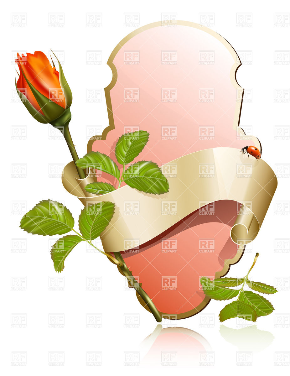 926x1200 Romantic Label With Ribbon And Rose Bud Vector Image Of Plants