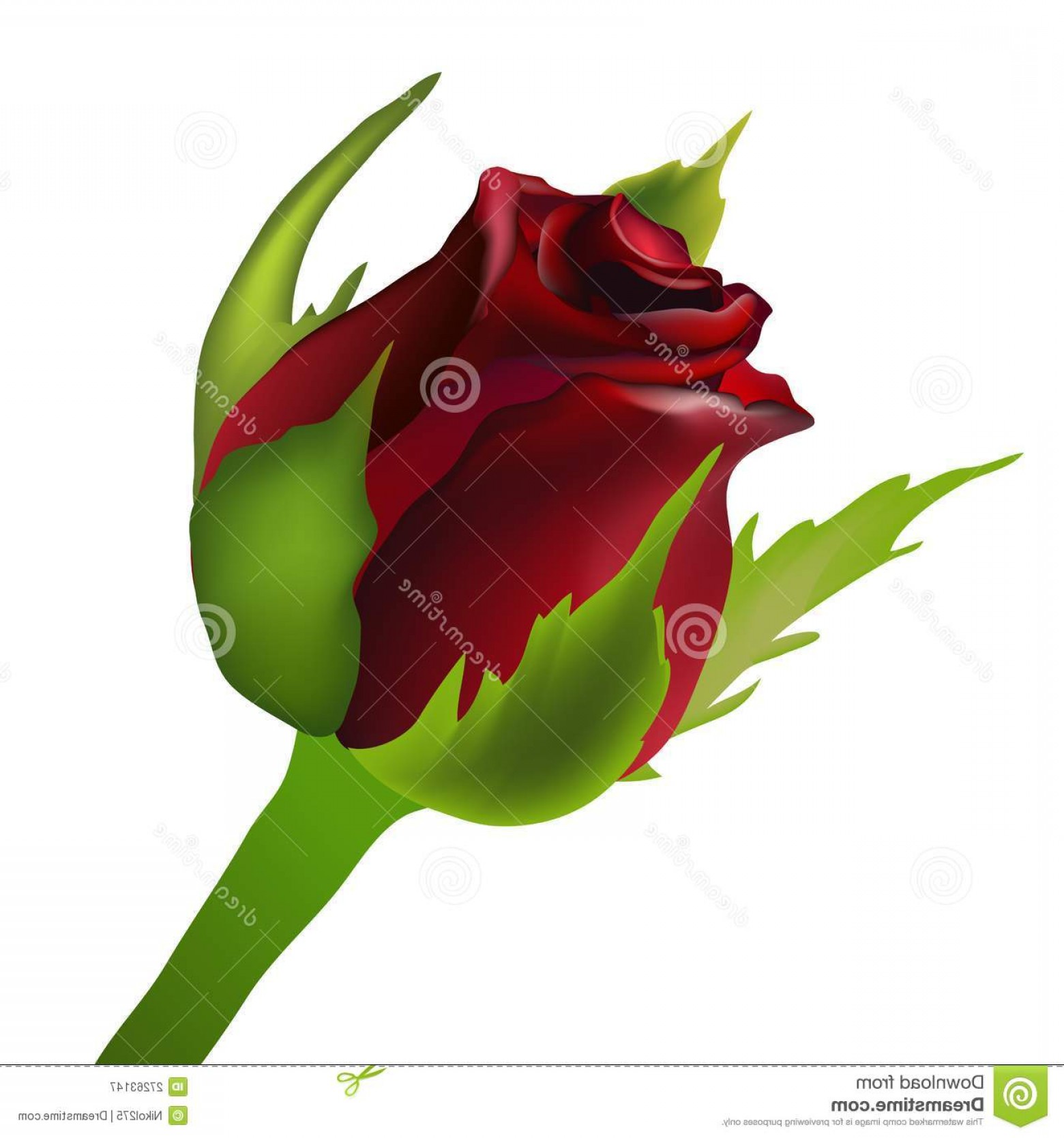 1560x1668 Rose Bud Clip Art Vector Hoodamathrun