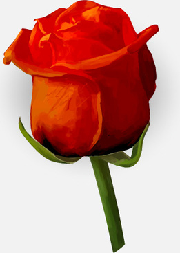 261x368 Rose Bud Free Vector Download