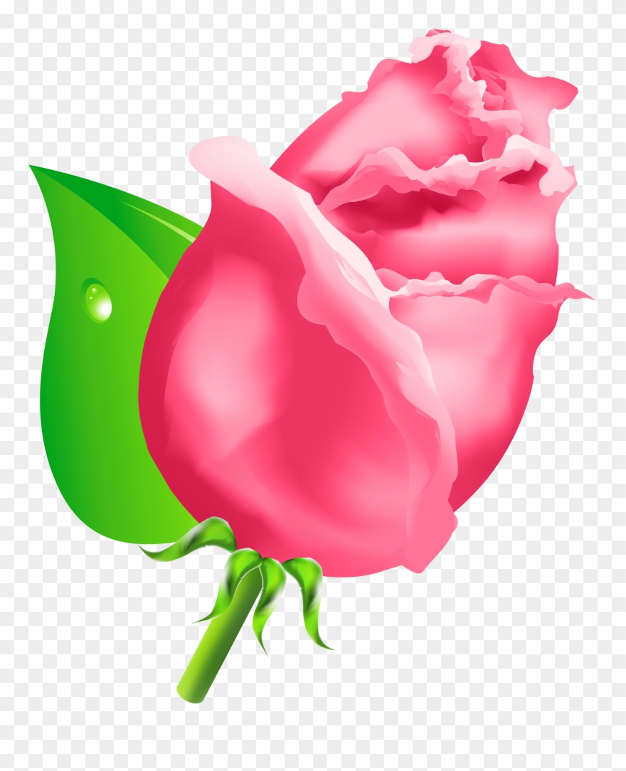 880x1084 Bud Vector Clip Art