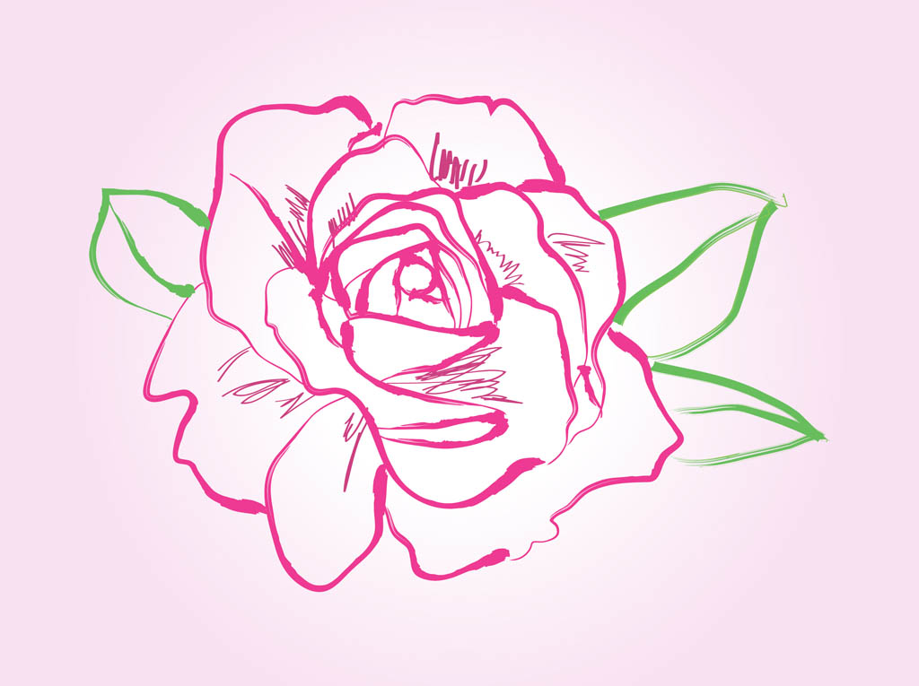 Rose Drawing Vector Vector Art Graphics 1024x765 Rose Drawing Vector Vector Art Graphics