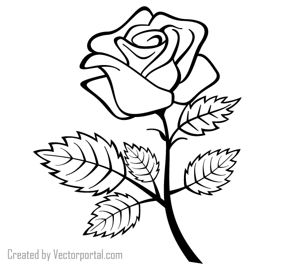 Rose Outline Vector Image Download Free Vector Art Free Vectors 600x550 Rose Outline Vector Image Download Free Vector Art Free Vectors