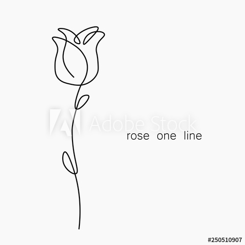 Rose Flower One Line Drawing, Vector Illustration 500x500 Rose Flower One Line Drawing, Vector Illustration
