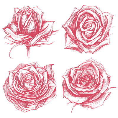 Roses Drawing Set Vector Art Tshirt Factory 400x400 Roses Drawing Set Vector Art Tshirt Factory