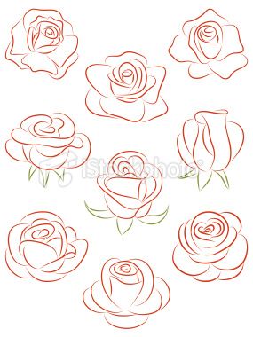 Set Of Roses Vector Illustration Cookies! In Drawings 285x380 Set Of Roses Vector Illustration Cookies! In Drawings