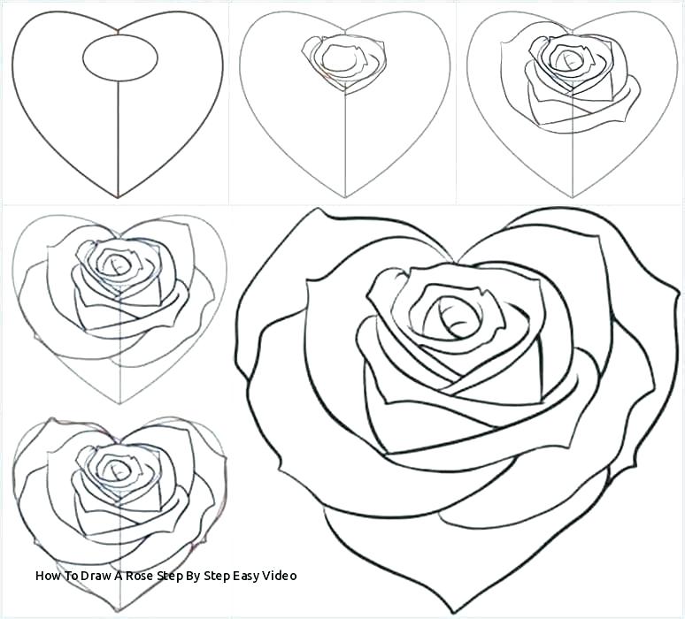 Line Drawing Rose 774x700 Line Drawing Rose