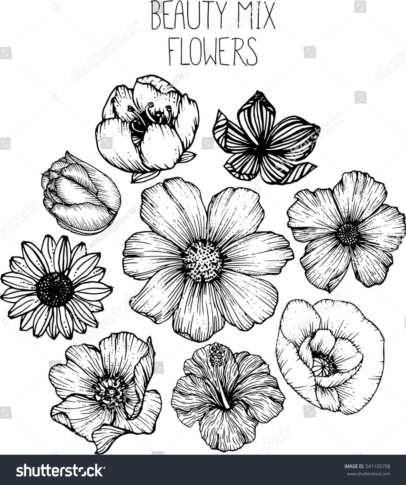 Mix Flowers Drawing Vector Illustration And Clip Art Cherry 1340x1600 Mix Flowers Drawing Vector Illustration And Clip Art Cherry