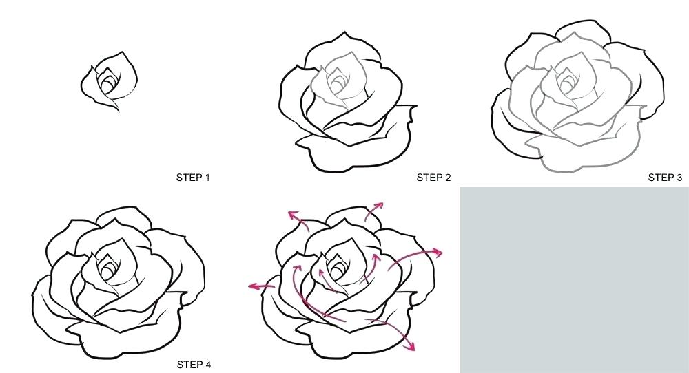 Roses Line Drawing 1000x542 Roses Line Drawing