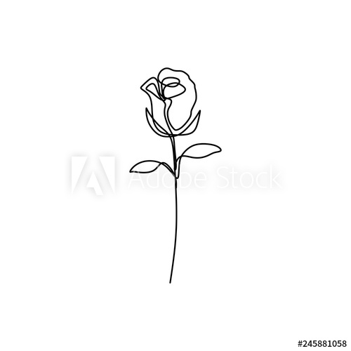 Flower Continuous One Line Art Drawing Vector Illustration 500x500 Flower Continuous One Line Art Drawing Vector Illustration