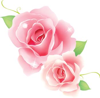350x342 Free Download Of Rose Vector Graphics And Illustrations