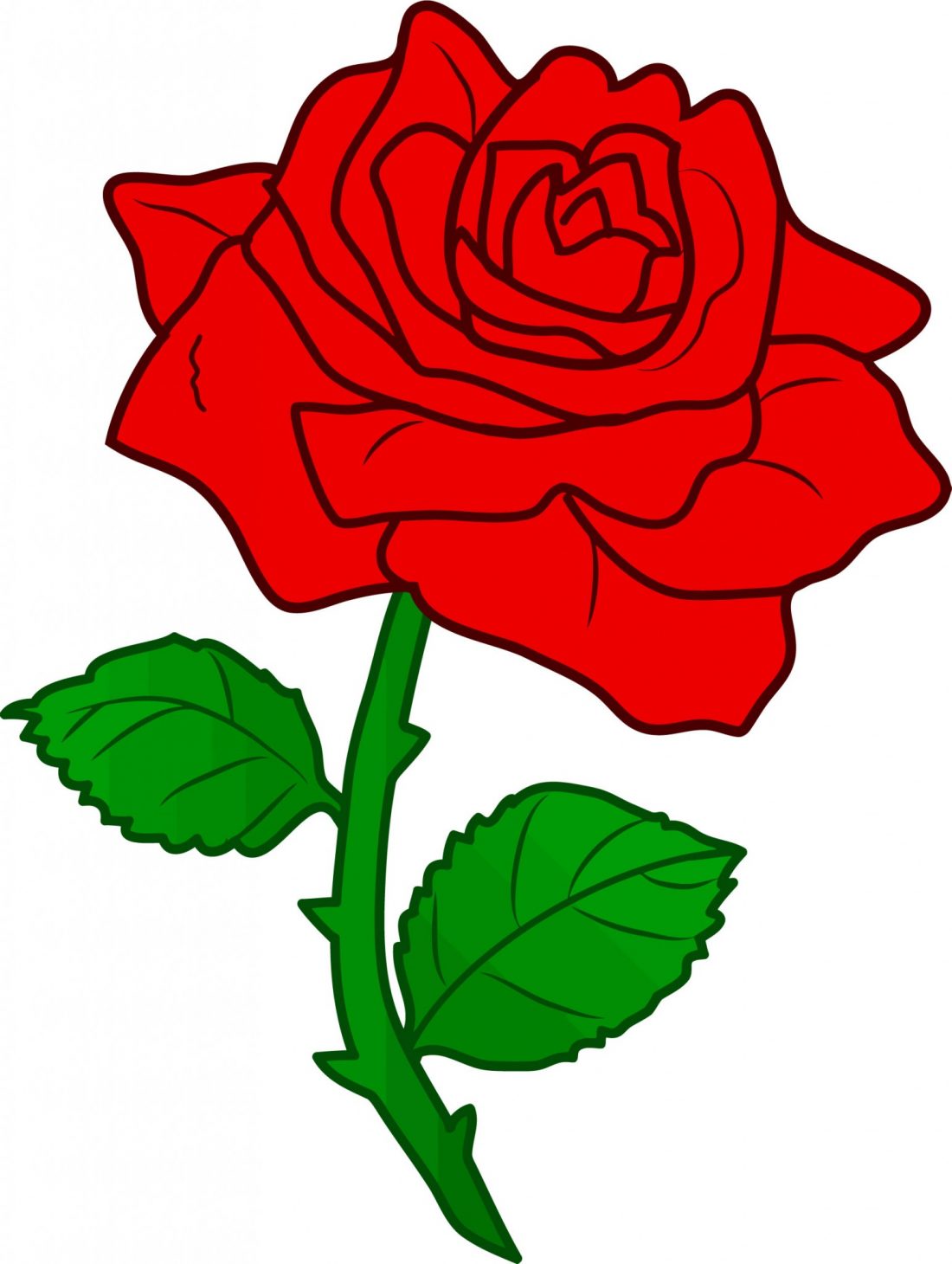 1100x1460 Myvect Rose Flower Vector