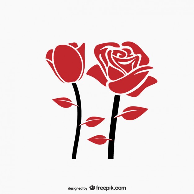 626x626 Rose Vectors, Photos And Free Download