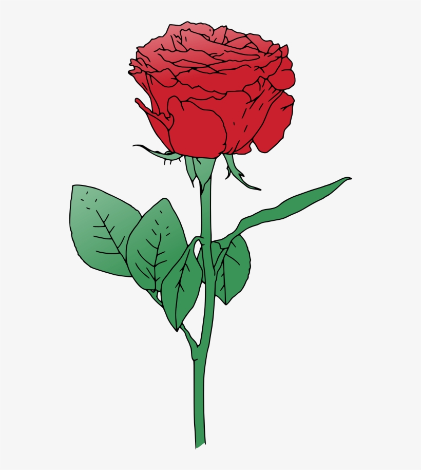 820x915 Single Red Rose Vector