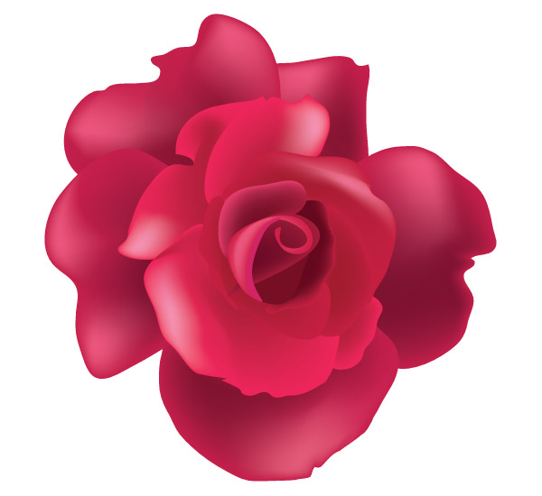 600x550 Vector Rose Flower Image Download Free Vector Art Free Vectors