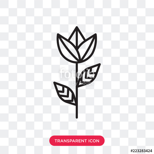 500x500 Rose Vector Icon Isolated On Transparent Background, Rose Logo