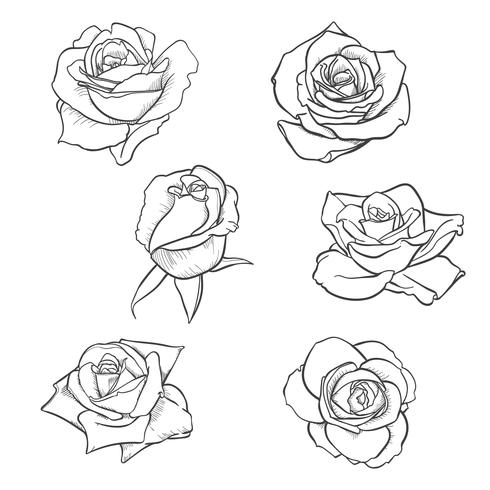 Rose Icon Vector at Vectorified.com | Collection of Rose Icon Vector ...