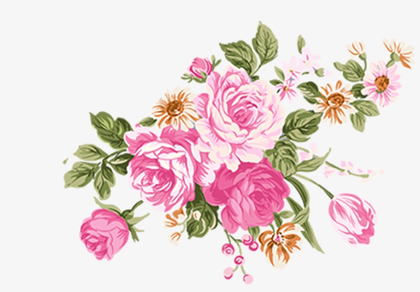 820x569 Flower Illustrations Of Rose High Definition Png Material