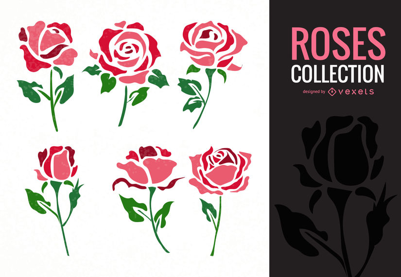 825x570 Rose Illustration Collection