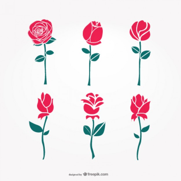 626x626 Roses Vectors, Photos And Free Download